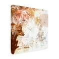 thumbnail image 2 of Trademark Fine Art 'Blush & Umber I' Canvas Art by Victoria Borges, 2 of 3