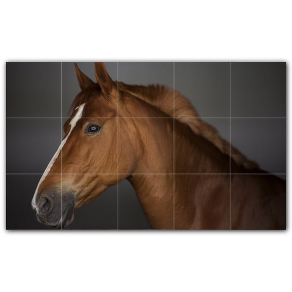 Picture-Tiles.com: Horse Ceramic Tile Wall Mural WAL500769-53L. 40"W x 24"H using (15) 8" x 8" Ceramic Tiles-Satin Finish