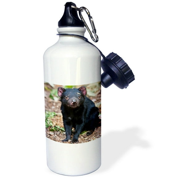 3dRose, Tasmanian Devil wildlife, Tasmania, Australia - AU01 MZW0090 - Martin Zwick, Flip Straw 21oz Water Bottle