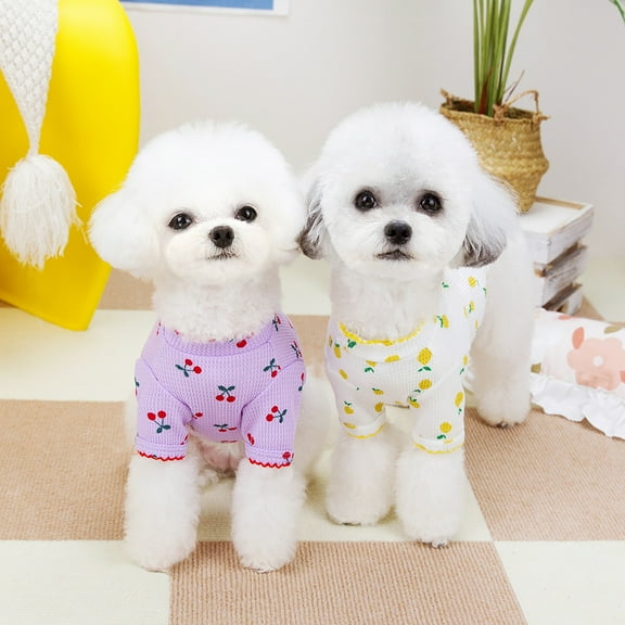 Adorable Pet Clothes for Cats & Small Dogs - Charming Spring & Autumn Wear Breathable Casual T-shirts