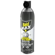 Raid MAX Foaming Wasp and Hornet Killer, Fast Coverage Outdoor Foaming Spray, 16.5 oz