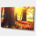 thumbnail image 2 of Autumn Trees in the Sunlight - Large Landscape Canvas Art, 2 of 4