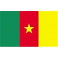 thumbnail image 1 of Annin Flagmakers 191263 Drapeau du Cameroun 2 Pi X 3 Pi Nyl-Glo, 1 of 1