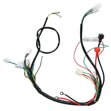 Waltyotur Fit for GoKart Taotao 50 70 90 110 125CC Electric Wiring Harness
