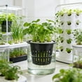 thumbnail image 6 of Hydroponic Planting Mesh Pot Net, Basket Garden Grow Cup,3Black, 6 of 6