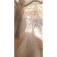thumbnail image 3 of Allen, Kimberly 9x14 Black Modern Framed Museum Art Print Titled - Into the Mist, 3 of 5