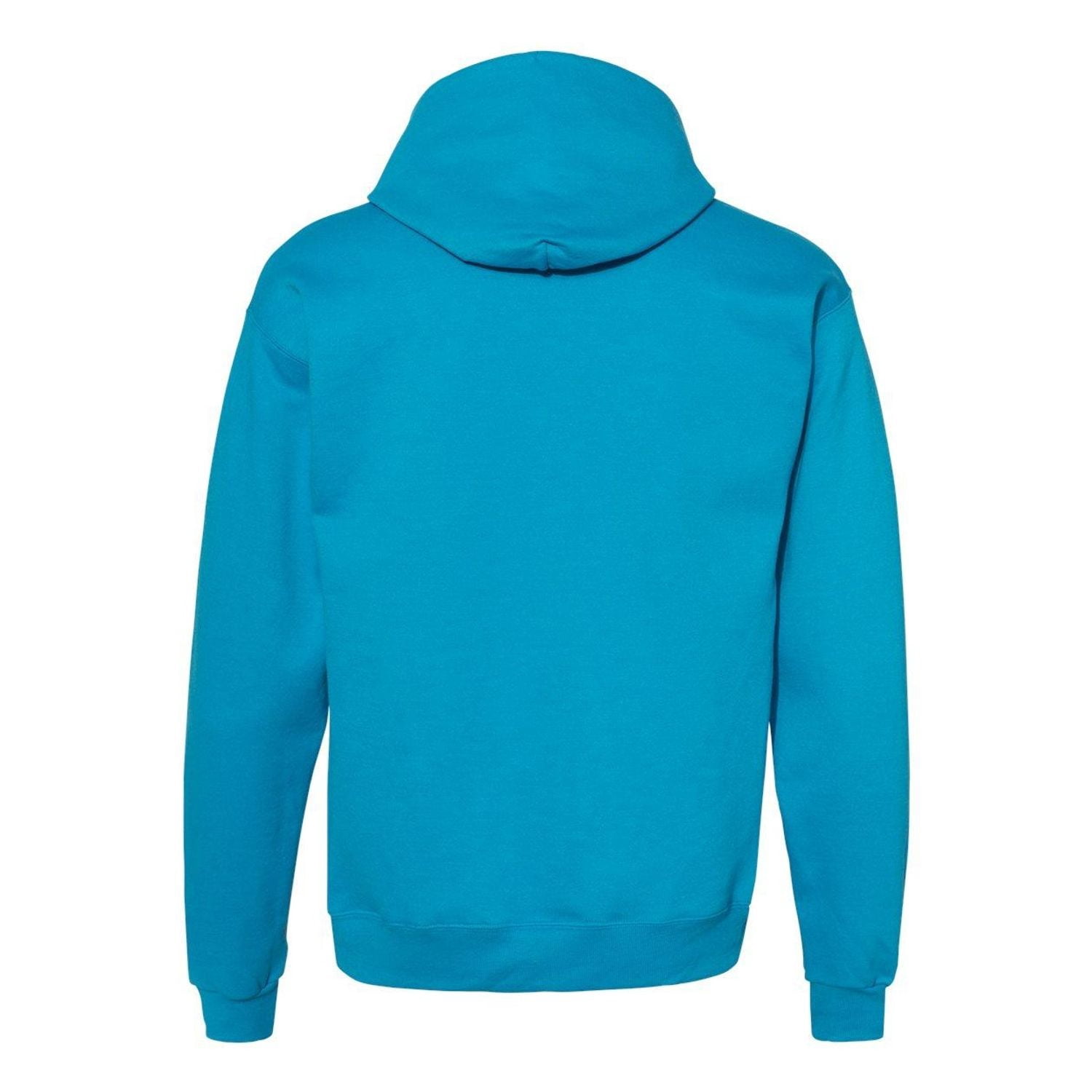 Hanes EcoSmart Unisex Fleece Hoodie (Big & Tall Sizes Available) Teal 4XL