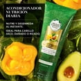 thumbnail image 2 of Acondicionador Herbal Essences Bio:Renew Pequi & Aguacate Nutre e Hidrata 250 ml, 2 of 5