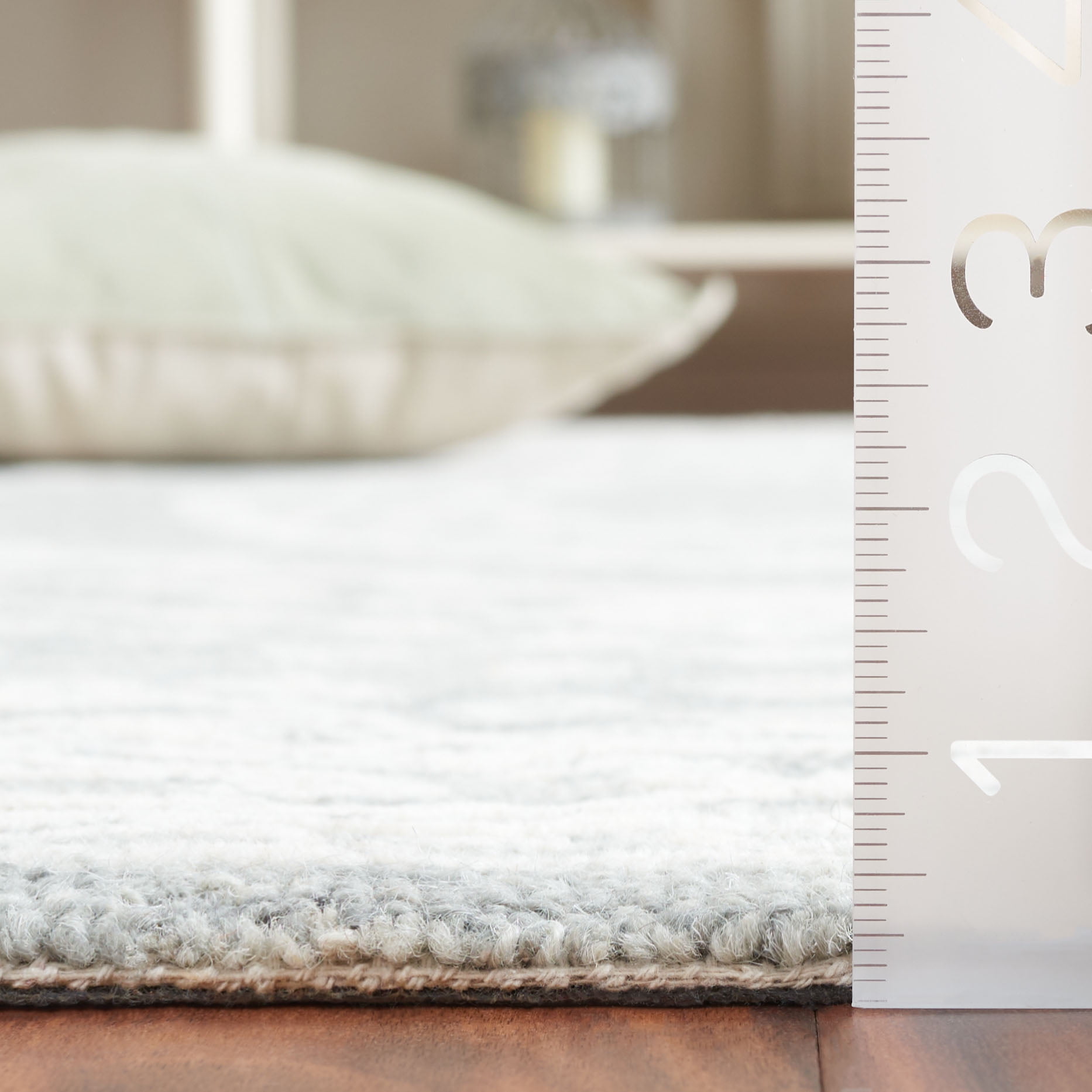 SAFAVIEH Ebony Aiden Bordered Area Rug, Ivory/Grey, 4' x 6'