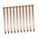 thumbnail image 1 of Clavos de cobre perfecl 10 piezas 100mm para bricolaje paisajismo, 1 of 8