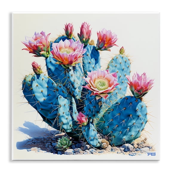 Stupell Industries Contemporary Prickly Cactus Blossoms Wall Plaque Art, 12 x 12, by RB