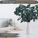 thumbnail image 5 of Hoja de Manzana Inmortal - Verde Ormromra OTTO-WX-0040, 5 of 7