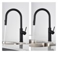 thumbnail image 3 of The akuaplus® ABA pull down Kitchen Faucet, 3 of 7