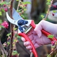 thumbnail image 2 of Professional Heavy Duty Bypass Secateur, 2 of 5