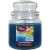 Better Homes & Gardens 13 Ounce Exotic Paradise Punch Scented Candle