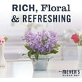 thumbnail image 5 of Mrs. Meyer's Clean Day Multi-surface Cleaner Lilac, 16 Fl Oz (Pack of 6), 5 of 6