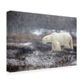 thumbnail image 2 of Canvas Wall Art - Alessandro Catta 'Snowing Time' Wall Art for Living Room, Bedroom, or Office Décor by Trademark Fine Art - 47 x 30 Inches, 2 of 4