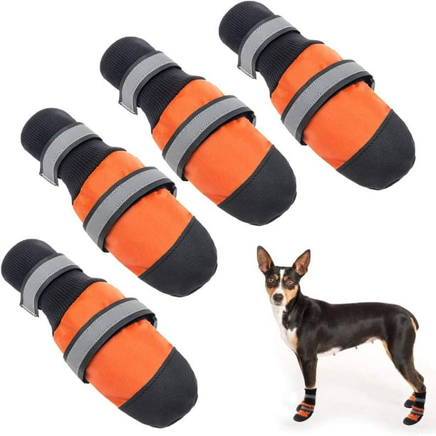 Dog Grooming Leggings Hair Resistant Multi-Color Scissor Paw Print :  : Pet Supplies