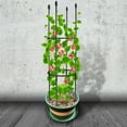 thumbnail image 6 of Famyfamy Climbing Frame Plant Support Piles Cherry Tomatoes Vine Garden Trellis DIY Clematis Plants Sturdy Gardening Flower Stand, 6 of 22