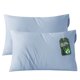 thumbnail image 1 of Juego de 2 fundas de almohada Bedsure Zipper King Rayon Bamboo Cooling, 1 of 8