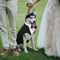 thumbnail image 6 of Kuoser Tuxedo Silky Dog Wedding Attire, Black Stripe, Large, 2 Piece Set, 6 of 8