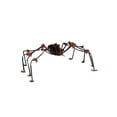 thumbnail image 1 of Large Spider Hairy Brown, 1 of 3