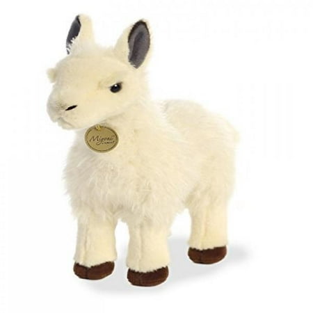 Aurora Miyoni Llama 12