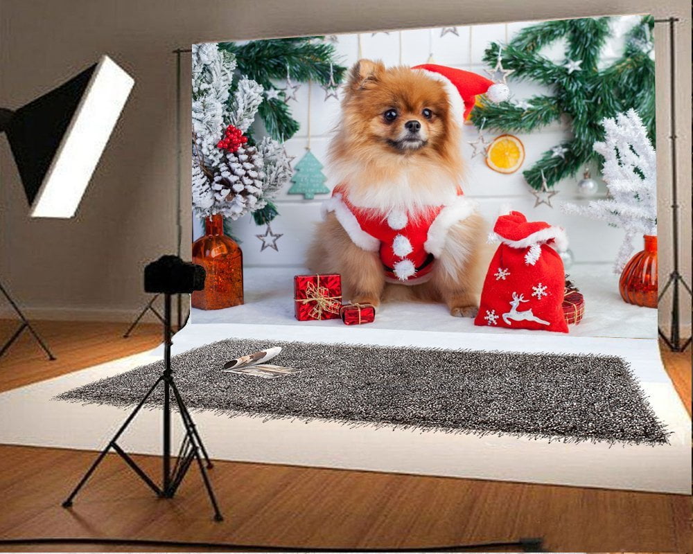 Pic is 8 "x10". POMERANIAN DOG with Scenery on One 16 inch Fabric Panel to Sew Pic is 8 "x10". POMERANIAN DOG with Scenery on One 16 inch Fabric Panel to Sew