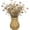 Beige, variant on Rattan Weaving Vase, TGY 5.7 Inch Decorative Flower Basket, Hand Woven Plastic Rustic Vase for Boho Home Decor, Farmhouse Desktop Centerpiece for Dried Grass & Floral Arrangement