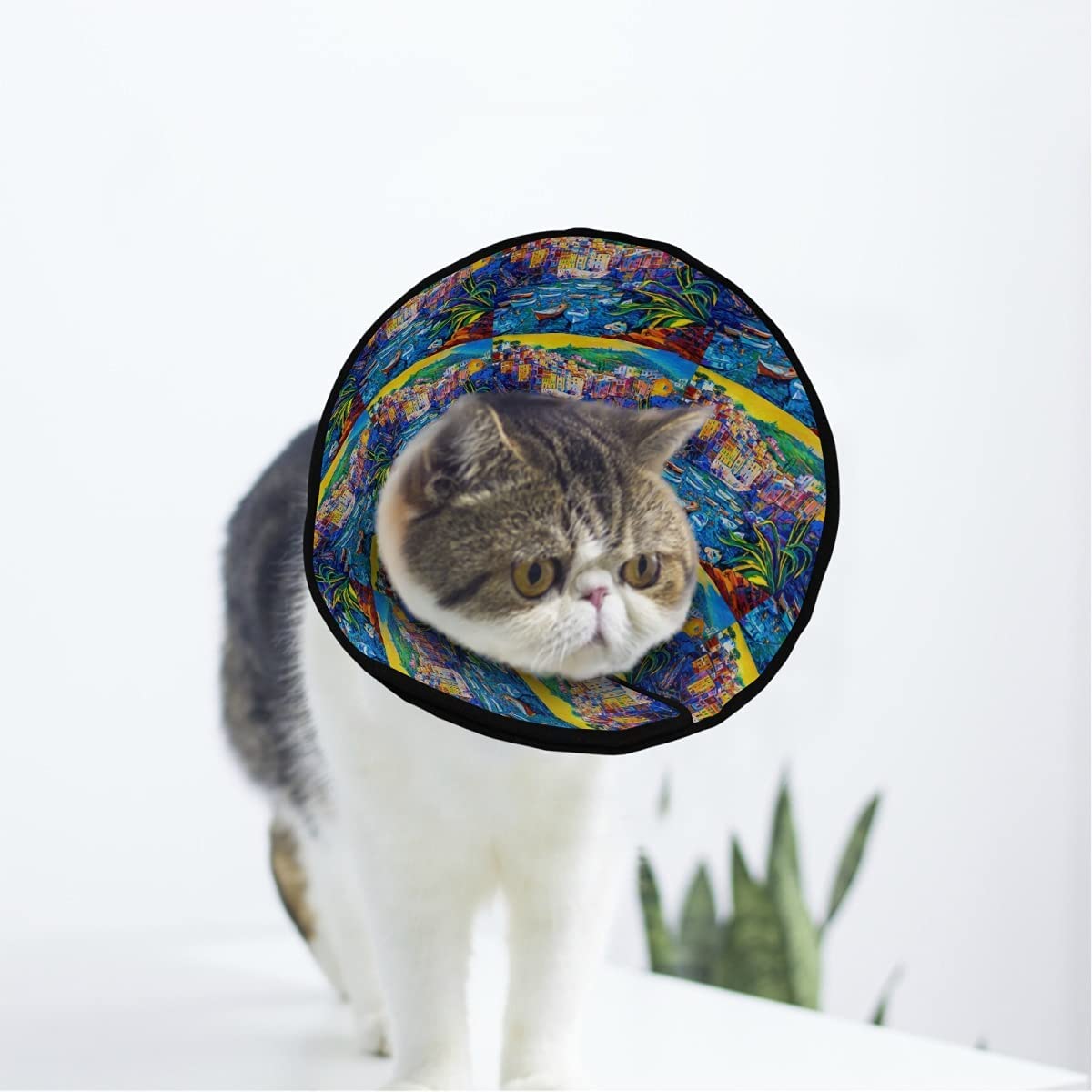 Original Doux Chien Chat Récupération Collier Réglable Cône de Chat Cicatrisation Cicatrisation après la Chirurgie pour Chien Cône Collier