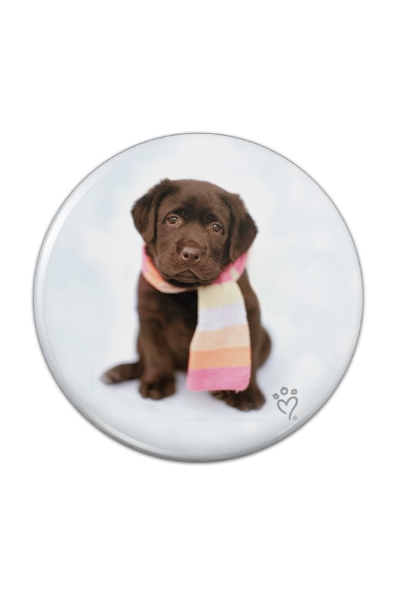 Lab Labrador Puppy Dog Wearing Scarf Pinback Button Pin