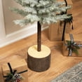 thumbnail image 4 of Northlight Slim Flocked Norfolk Pine Artificial Christmas Tree - 4.5’ - Unlit, 4 of 9