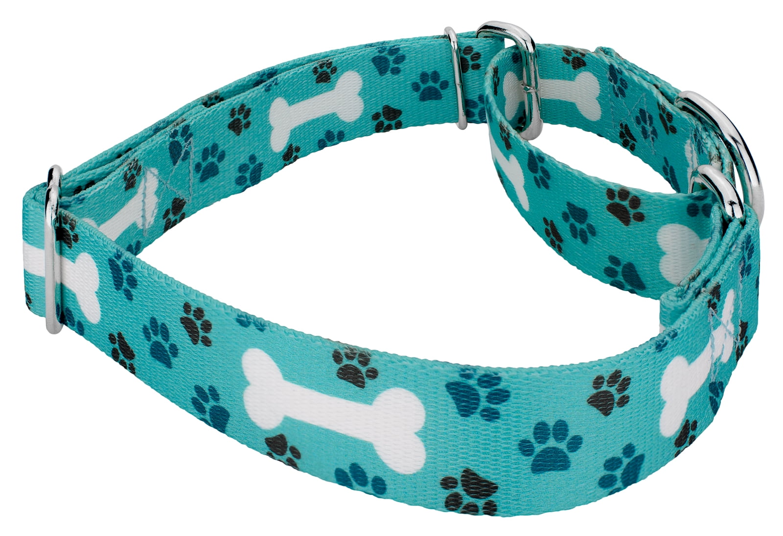 Country Brook Petz® Oh My Dog Martingale Dog Collar and Leash, Small