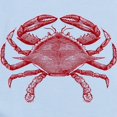 thumbnail image 2 of CafePress - Vintage Crab Infant Bodysuit - Baby Light Bodysuit, Size Newborn - 24 Months, 2 of 4