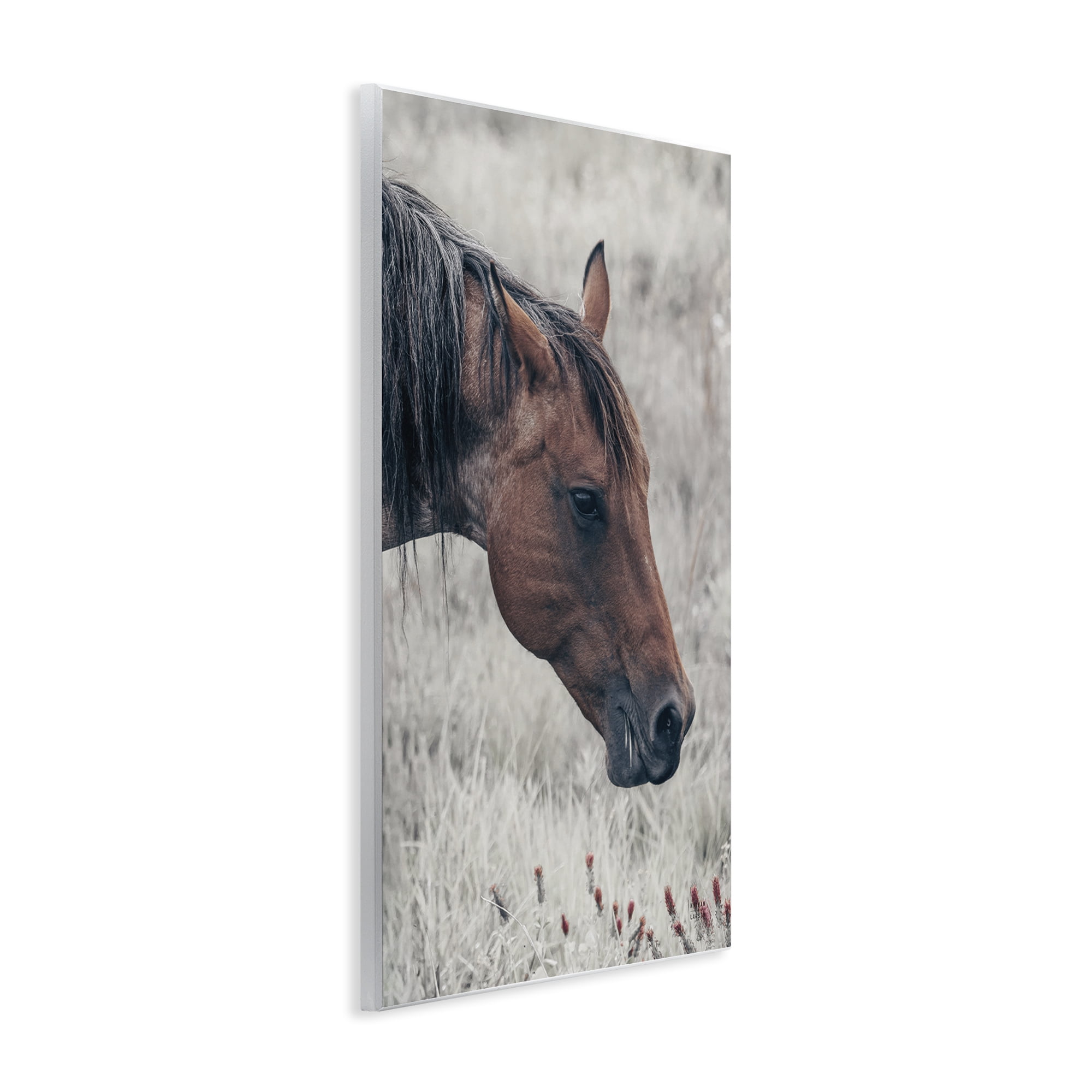 Stupell Industries Mother Horse Grazing in Meadow Wall Plaque Art, design by Nathan Larson