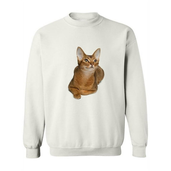Pretty Abyssinian Cat Looking Up Sweatshirt Women -Image by Shutterstock, Female Medium