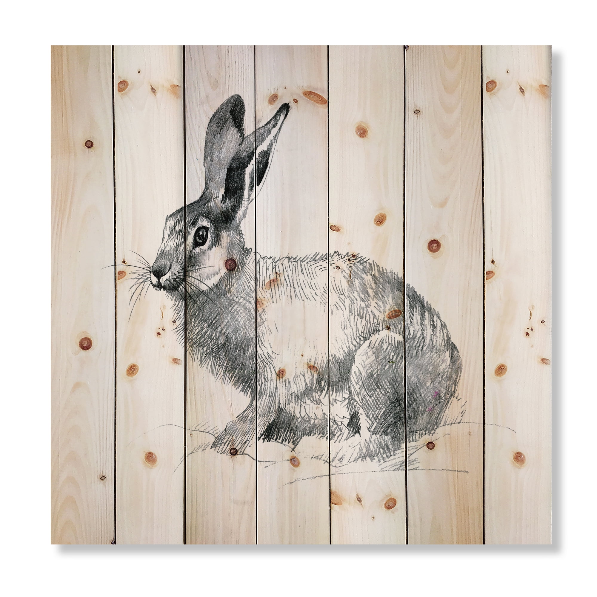 Designart 'Black and White Portrait Of Rabbit' Farmhouse Print on Natural Pine Wood