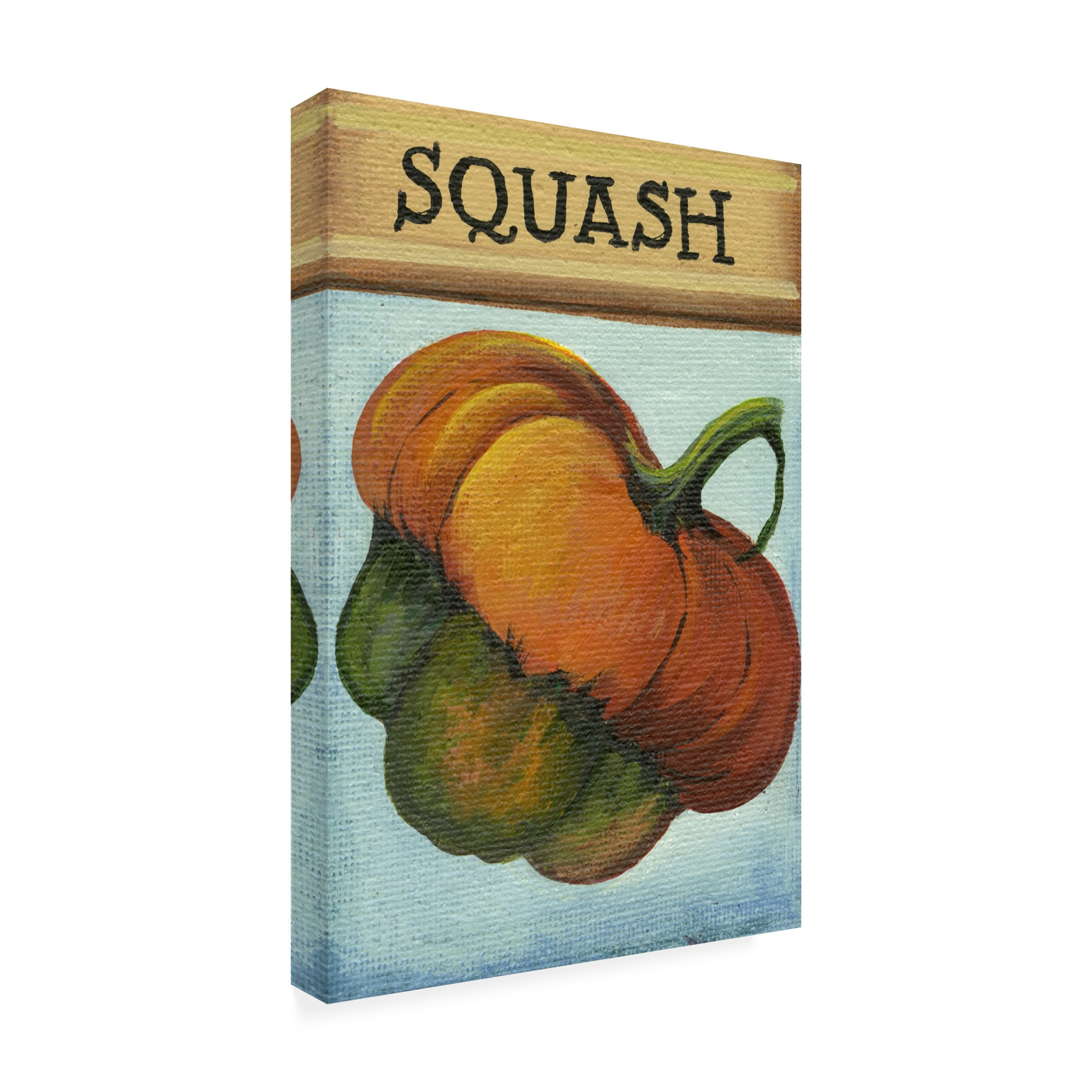 Canvas Wall Art - Debbi Wetzel 'Seed Packets 28 - Squash' Wall Art for Living Room, Bedroom, or Office Décor by Trademark Fine Art - 30 x 47 Inches