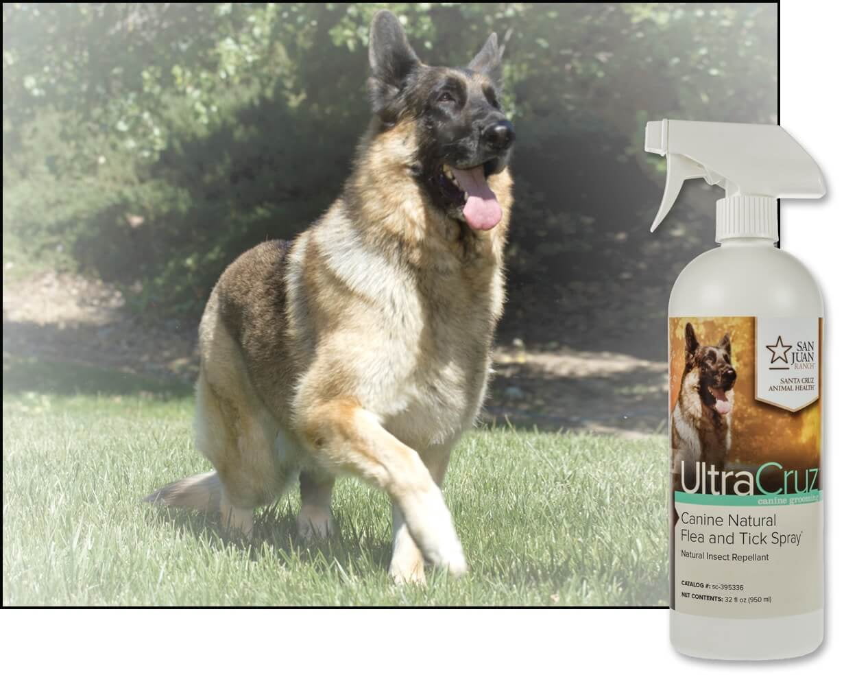 UltraCruz® Canine Natural Flea and Tick Spray, 32 oz