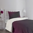 thumbnail image 5 of Ambesonne Ombre Quilted Bedspread Set 2 Pcs, Floral Like Swirls Frame, Twin Size, Multicolor, 5 of 6