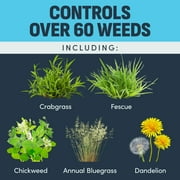IMAGE Casoron Weed Preventer Granules Herbicide, RTU, 8 lb.