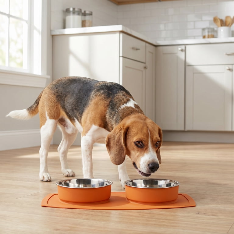 Vibrant Life Double Pet Bowls, 1.98 Cups Each, Orange photo 3