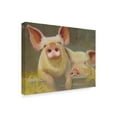 thumbnail image 2 of Trademark Fine Art 'Life as a Pig II' Canvas Art by Carolyne Hawley, 2 of 4