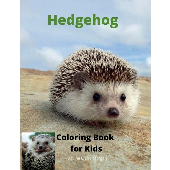 Hedgehog Coloring Book for Kids: Children Activity Book for Boys and Girls Ages 3-8 with Super Cute Hedgehog A Super Coo, (Paperback)