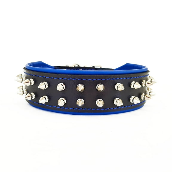 The Bestia "Frenchie" Leather Dog Collar Black & Blue for Medium to Large Dog Breeds