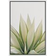 thumbnail image 3 of PixonSign Framed Canvas Print Wall Art Spiked Cactus Plant Close-Up Botanical Flower Photography Modern Art Contemporary Relax/Calm Green Cool for Living Room, Bedroom, Office - 24"x36" White, 3 of 5