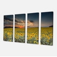 thumbnail image 2 of Sunflower Sunset with Cloudy Sky - Large Landscape Canvas Art, 2 of 3