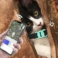 thumbnail image 4 of ERK Collier pour Animaux Collier pour Chiens et Chats Portée Illimitée Dispositif de Localisation Intelligent Compatible avec le Suivi Réel des Animaux, 4 of 5