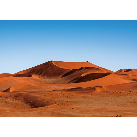 Orange Sand Dune Desert Landscape Photo Studio Backdrops Vinyl Photography Backgrounds for Children Portrait Photobooth Props