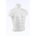 thumbnail image 2 of Male Torso Form- Hanging Loop Only, White, 2 of 3